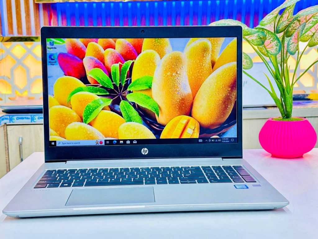 HP ProBook 450 G6 Core i5 8th Gen 8GB RAM 256GB SSD 8GB GPU 15.6 Inch FHD Laptop in Bangladesh