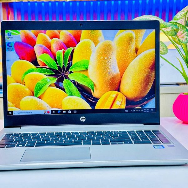 HP ProBook 450 G6 Core i5 8th Gen 8GB RAM 256GB SSD 8GB GPU 15.6 Inch FHD Laptop in Bangladesh